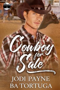 Cover for Cowboy for Sale, featuring a man in a cowboy hat wearing a checkered shirt.